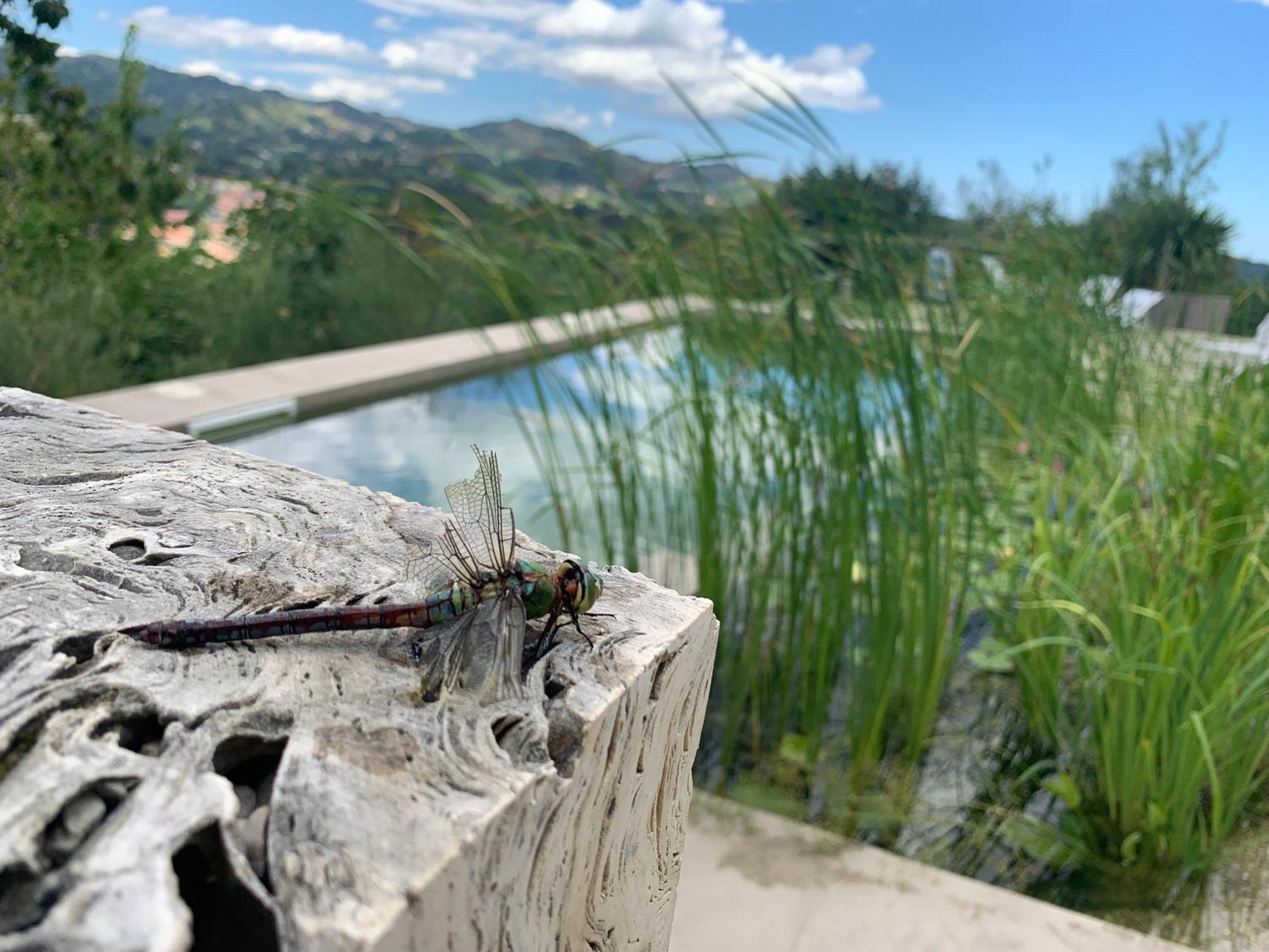 Villa Fortezza Antique Rooms Ascoli Piceno Eksteriør bilde