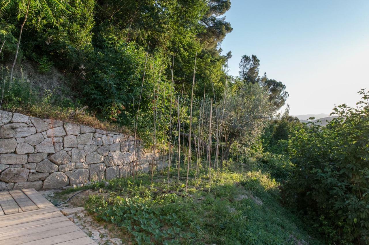 Villa Fortezza Antique Rooms Ascoli Piceno Eksteriør bilde